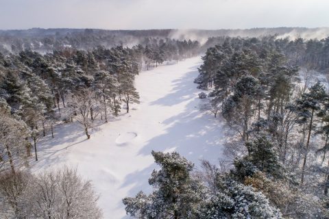 Thetford Golf Club, Norfolk
